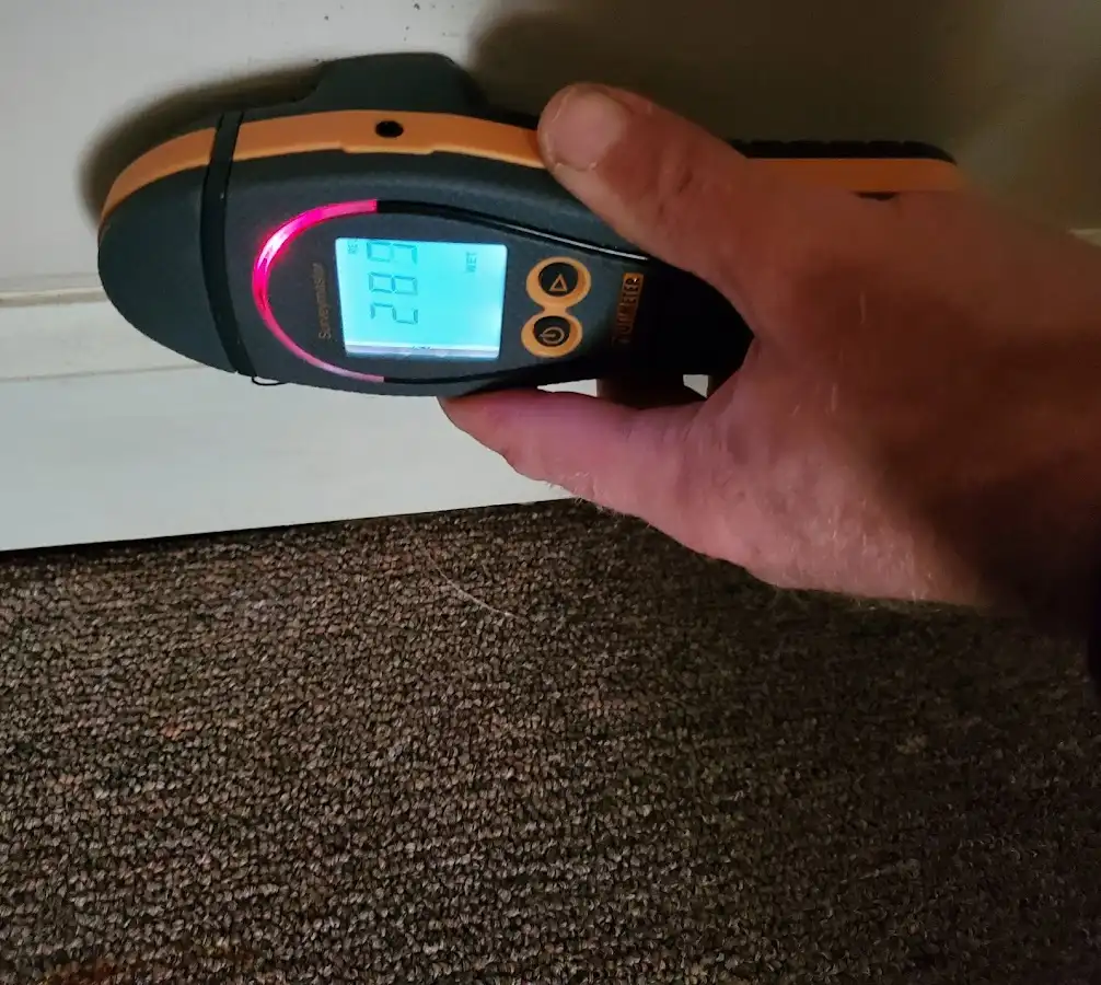 Moisture detection at baseboard during Mold Inspection & Testing in Dunlap
